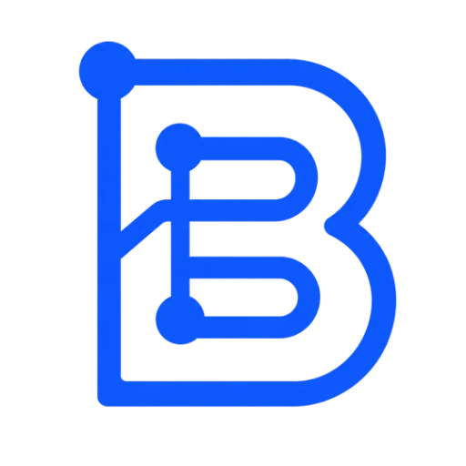 BRANDISEER logo