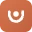 Carry logo