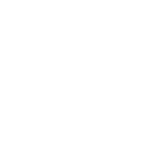 BacktestFlow logo